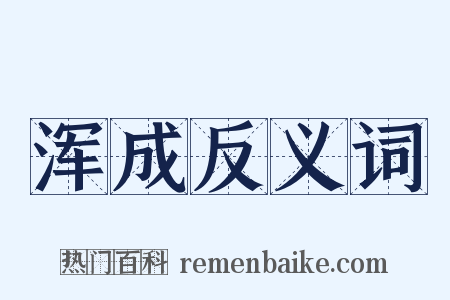 浑成反义词是什么意思的图片